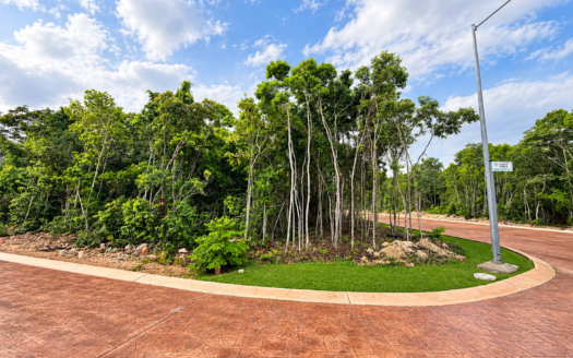 Green-Area Lot for Sale in Kira Residencial | 129 m² Land Investment